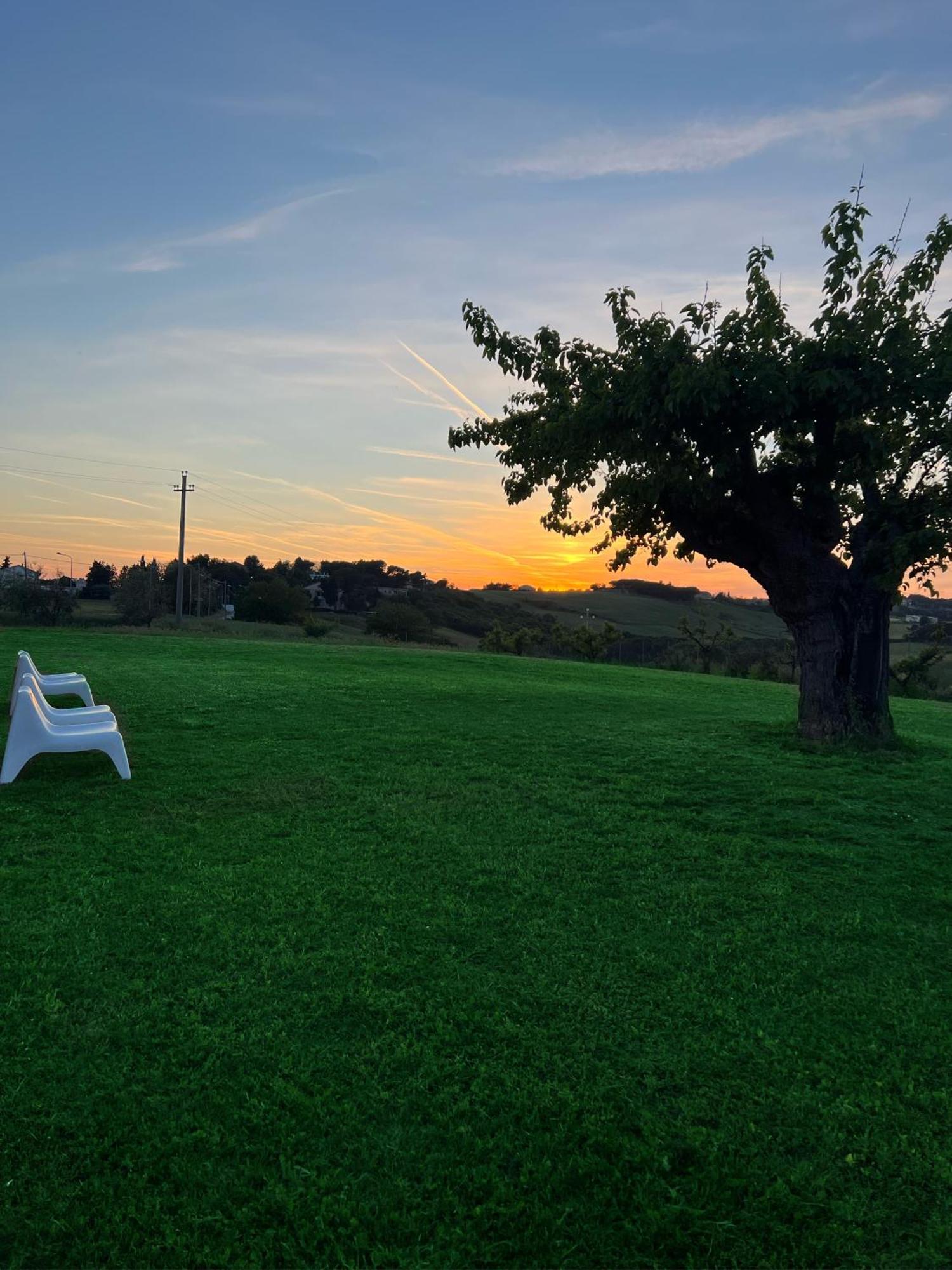 Agriturismo Le Grange نومانا المظهر الخارجي الصورة