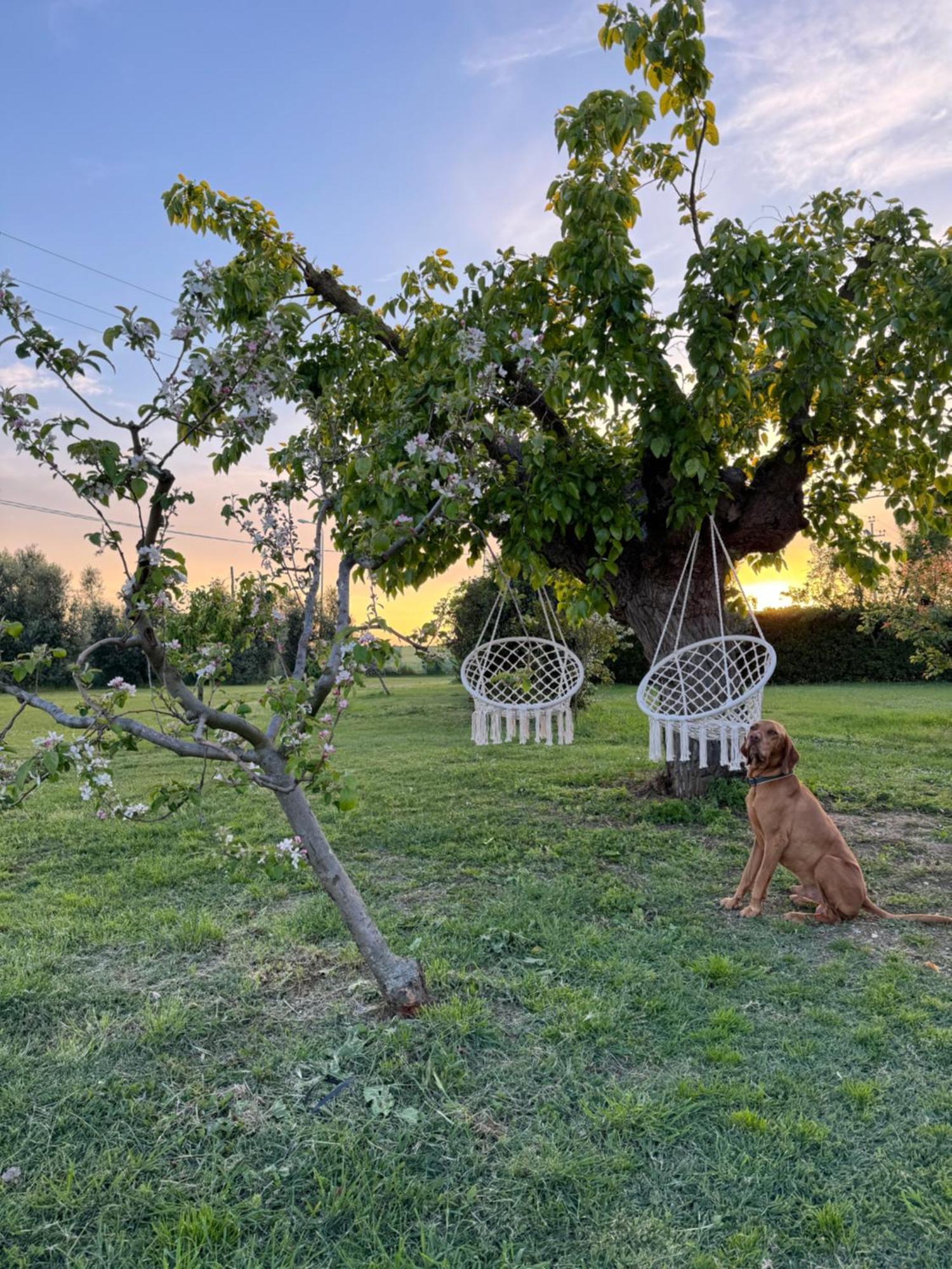 Agriturismo Le Grange نومانا المظهر الخارجي الصورة